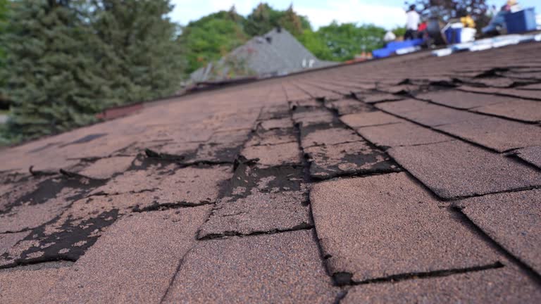 Best Roof Ventilation Installation  in Twin Grove, IL
