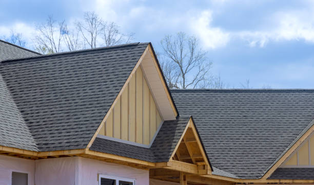 Best Skylight Installation and Repair  in Twin Grove, IL